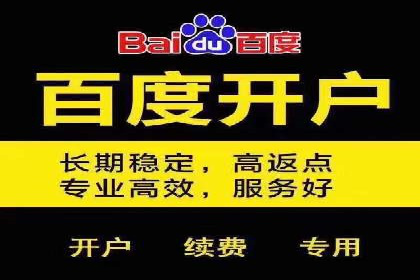 竞价排名失败案例：原因与教训